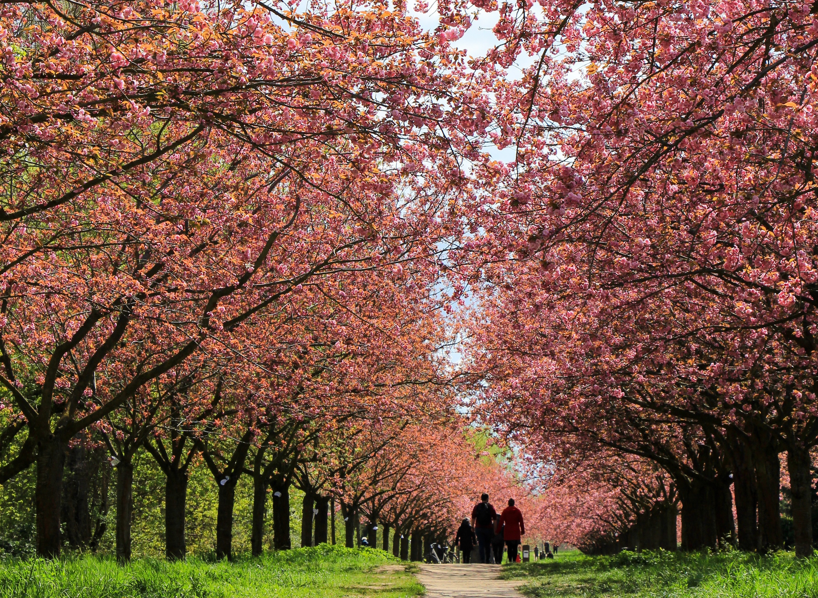 Bir Mevsimlik İnsanlık Hali
